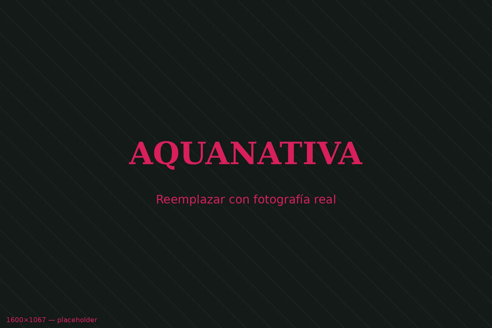 Aquanativa — Lo que no se ve también se puede fotografiar.