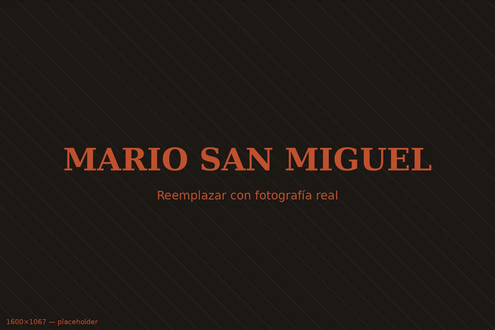Mario San Miguel — Vender un lugar es antes que nada contar uno.