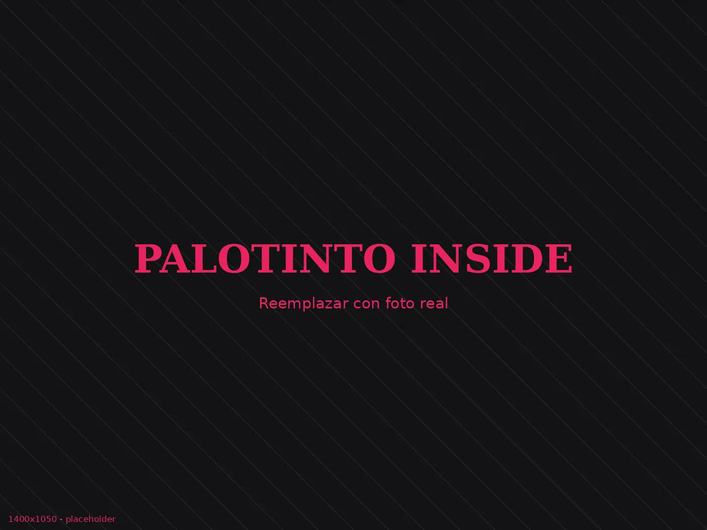 PALOTINTO Inside