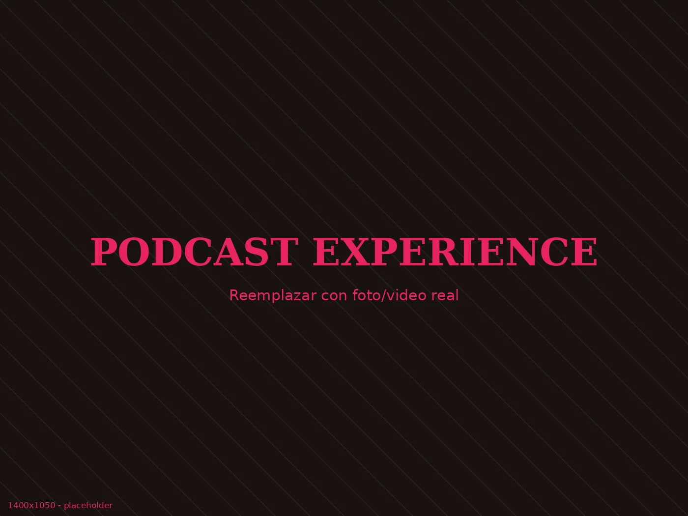 Podcast Experience